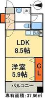 ラグジュアリーアパートメント三ノ輪の間取り