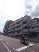 兵庫県神戸市灘区岩屋北町2丁目(マンション)の賃貸物件の外観