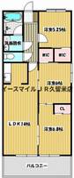 マリモⅡBLDの間取り