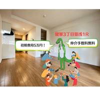 ヴィオラ健軍604の外観