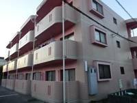 埼玉県深谷市上柴町西1丁目(マンション)の賃貸物件105の外観