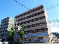 ヴェルドミールの外観