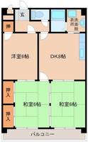 ドエル和泉505号の間取り