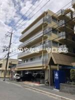 ブランドールMⅢ205の外観