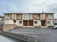 グリーン琥珀 ?の外観