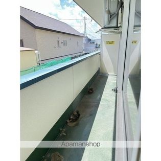 シャイニングラピュタの画像