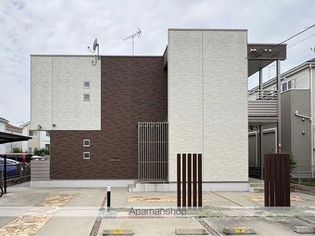 ミランダミルティユの画像