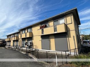 シャーメゾンキティーの画像