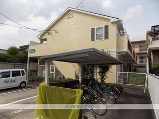 グレイス米本の画像