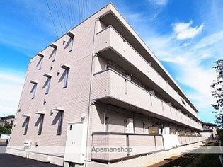 ハピネス ストームの画像