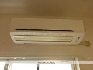 グレイス長等の画像