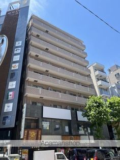 フェルテ髙波の画像