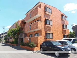 レジデンツ菩提樹の画像