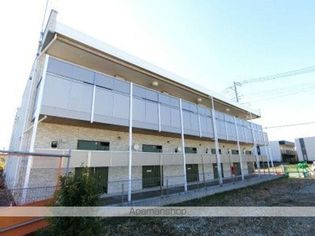 リブリ・エンジェルの画像