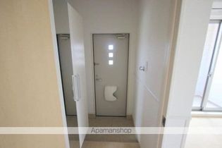 ブルースターBの画像