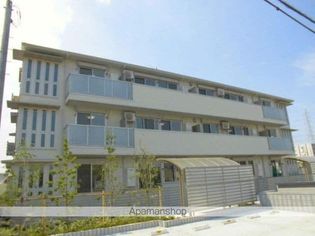 プルメリアの画像