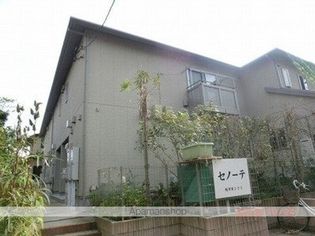 セノーテの画像