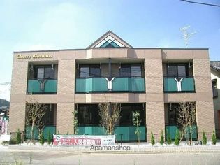 チェリーブロッサムの画像