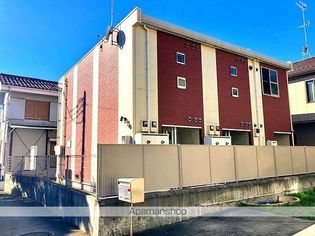 レオネクスト柿の木の画像