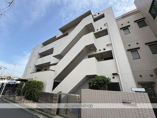 アイビー菅沢の画像