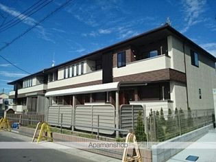 コスモス ストリートの画像