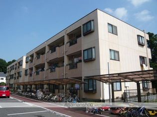 ラフィーヌ・フォレの画像