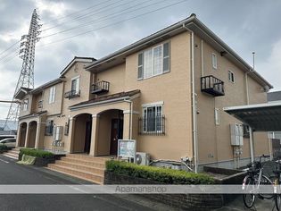 ティンカーベルの画像