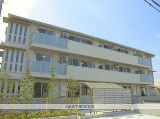 プルメリアの画像