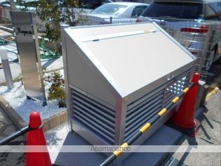 マーガレットの画像