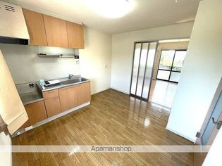 ラポール・カイトの画像