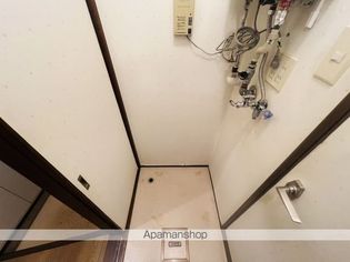 ファミールアプリコットの画像