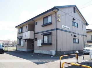 ベッセルオオヌキの画像