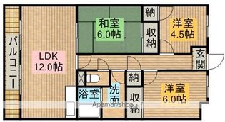 プラセオ上島の画像