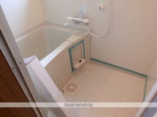 アピオン前九年の画像