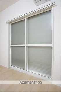 サンオリーブの画像