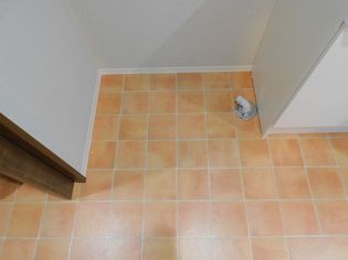 サクラソレイユ手稲の画像