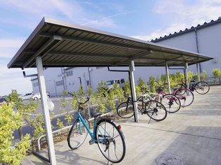 ラウレアコートの画像