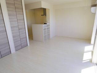 ラウレアコートの画像