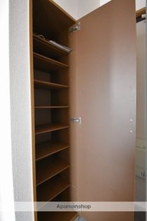 ソレイユTの画像