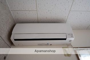 ソレイユTの画像