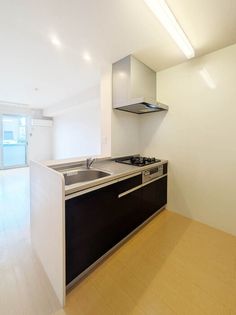 カンパニュラの画像