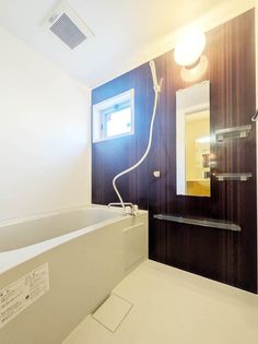 カンパニュラの画像