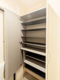 カンパニュラの画像