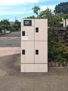 カンパニュラの画像