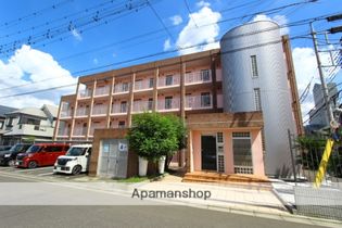 アマーレの画像