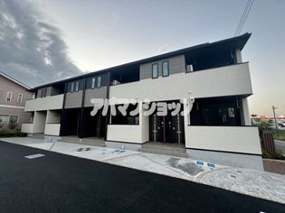 ステラートの画像