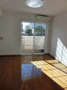 アムール・ユーの画像