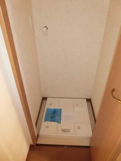 アムール・ユーの画像