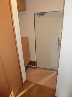 アムール・ユーの画像