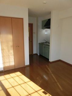 アムール・ユーの画像